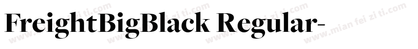 FreightBigBlack Regular字体转换